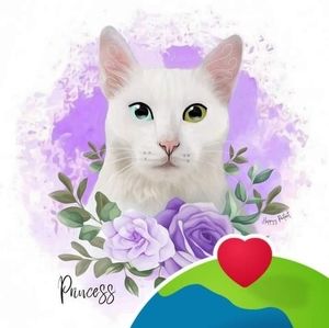 Meet your Posher, Jacqueline